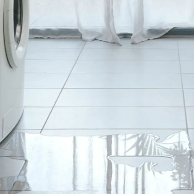 Appliance Leak Cleanup in Columbus, MN