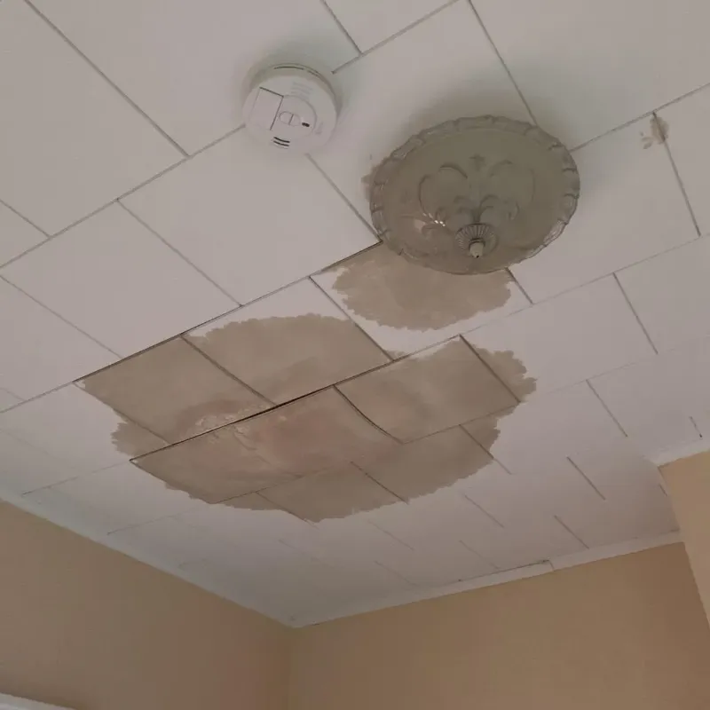 Ceiling Water Damage Repair in Columbus, MN