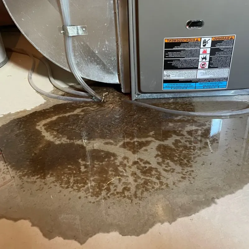Pipe Burst and Leak Restoration in Columbus, MN